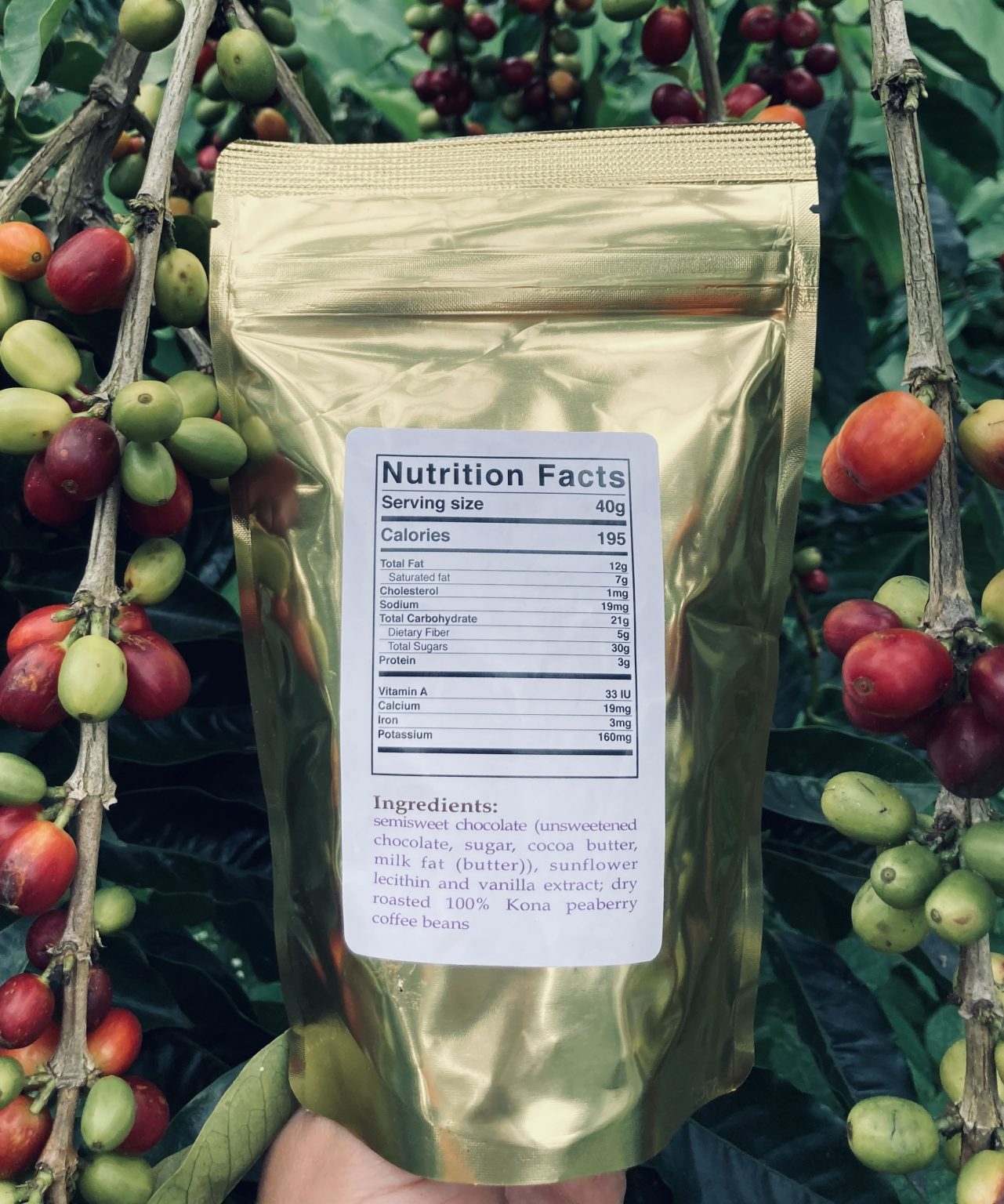 Chocolate Covered Peaberry Coffee Beans Kona Premium Coffee Company